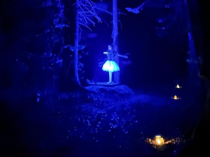 There will be many spooky characters, eerie sounds, and terrifying encounters when you take a walk through the Haunted Halloween Forest at the Winterdance Dogsled Tours in Haliburton County. Held on October 30 and 31, the 0.7-kilometre walk is made for guests over 12 years of age and over, featuring live actors, jump scares, and moments of darkness. (Photo: Winterdance Dogsled Tours)