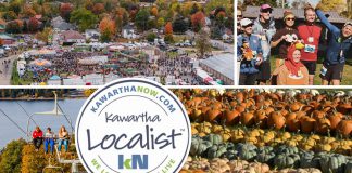 This edition of kawarthaNOW's "Kawartha Localist" editorial series features 14 family-friendly activities and destinations across the greater Kawarthas region for the Thanksgiving long weekend, including the Fenelon Falls Turkey Trot and the Northumberland Turkey Trot, Duff Acres in Keene, the Buckhorn Harvest Craft Show, Back Forty Farmstead near Bancroft, the Norwood Fall Fair, Harvest Market in Stirling and other local farmers' markets, Bobcaygeon Brewing Company and Kawartha Dairy, Sir Sam's in Haliburton County, Robin's Nest Farm Market in Warkworth, Ganaraska River in Northumberland County, Leahy's Farm and Market in Douro-Dummer, Frosted Flour Co. in Port Hope, and more. (kawarthaNOW collage)