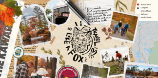 Peterborough County Tourism has designed four traveller personas that highlight different ways to experience The Kawarthas based on what you enjoy, what inspires you, and how you like to spend your time while you're visiting this region. The Fox is an adrenaline-seeking traveller who craves new adventures and challenges, especially in nature, and also relishes learning about the places and people around them during their travels. (Graphic: Peterborough County Tourism)