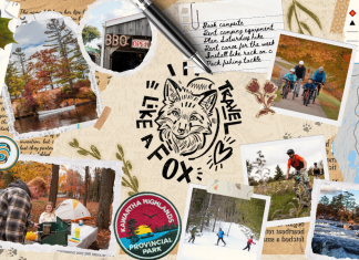 Travel like A Fox in The Kawarthas Peterborough County Tourism has designed four traveller personas that highlight different ways to experience The Kawarthas based on what you enjoy, what inspires you, and how you like to spend your time while you're visiting this region. The Fox is an adrenaline-seeking traveller who craves new adventures and challenges, especially in nature, and also relishes learning about the places and people around them during their travels. (Graphic: Peterborough County Tourism)