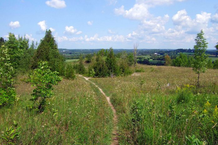 Located in the Township of Otonabee-South Monaghan and maintained by Otonabee Conservation, the Harold Town Conservation Area offers more than 10 kilometres of multi-use recreational trails, ideal for off-road cycling, hiking, running, and more. The trails offer scenic views from the top of the Meade Creek drumlin, part of the Peterborough drumlin field, one of the largest in North America. (Photo courtesy of Peterborough County Tourism)