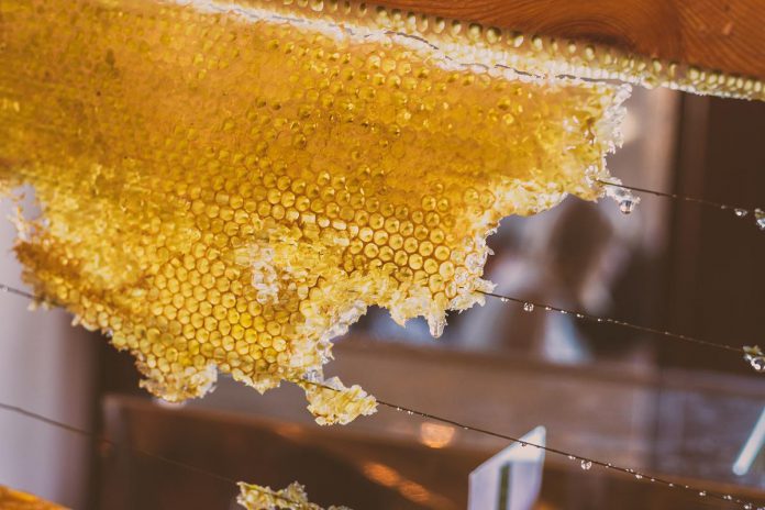 Located in the Township of Cavan Monaghan, Hunnabees Honey & Co. is a family-owned and operated farm run by third-generation beekeepers. The farm shop sells flavourful honeys, maple syrup, beeswax, and other products crafted on a 100-acre property that's committed to reducing waste and their environmental impact. The farm also hosts beekeeping, honey extraction, and apitherapy experiences that help visitors learn about the land. (Photo courtesy of Peterborough County Tourism)