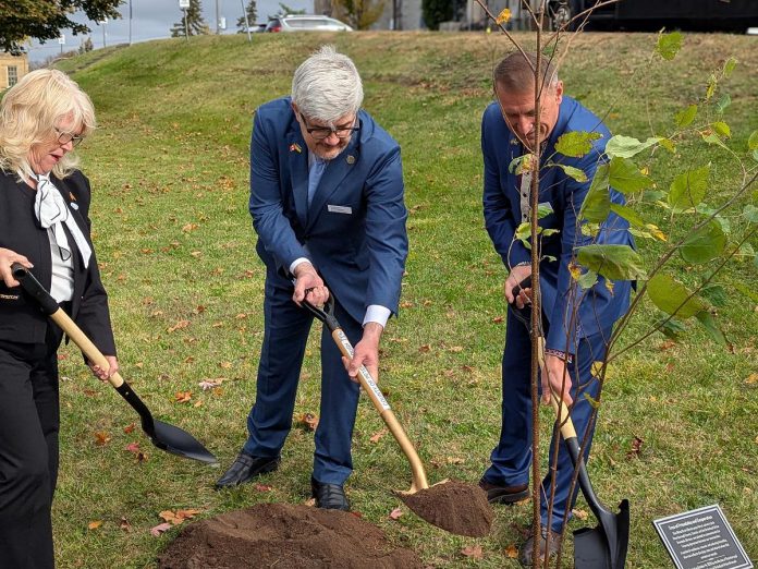 Peterborough County warden Bonnie Clark, Ukraine's ambassador to Canada Andrii Plakhotniuk, and Drohobych mayor Taras Kuchma plant a commemorative white birch representing friendship and cooperation outside the Peterborough County Courthouse on October 14, 2026 following the signing of a twinning agreement between Peterborough County and the western Ukraine municipality, which includes the cities of Drohobych and Stebnyk along with 32 villages. (Photo: Peterborough County)