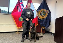 Peterborough police service dog Gryphon with his handler, constable Dillon Wentworth. Gryphon, who was officially sworn in on March 2, 2022, died on September 30, 2026 at around the age of six following unexpected medical issues. (Photo: Peterborough Police Service)